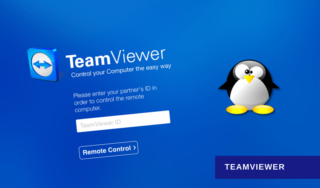 ssh into linux mint to start teamviewer service